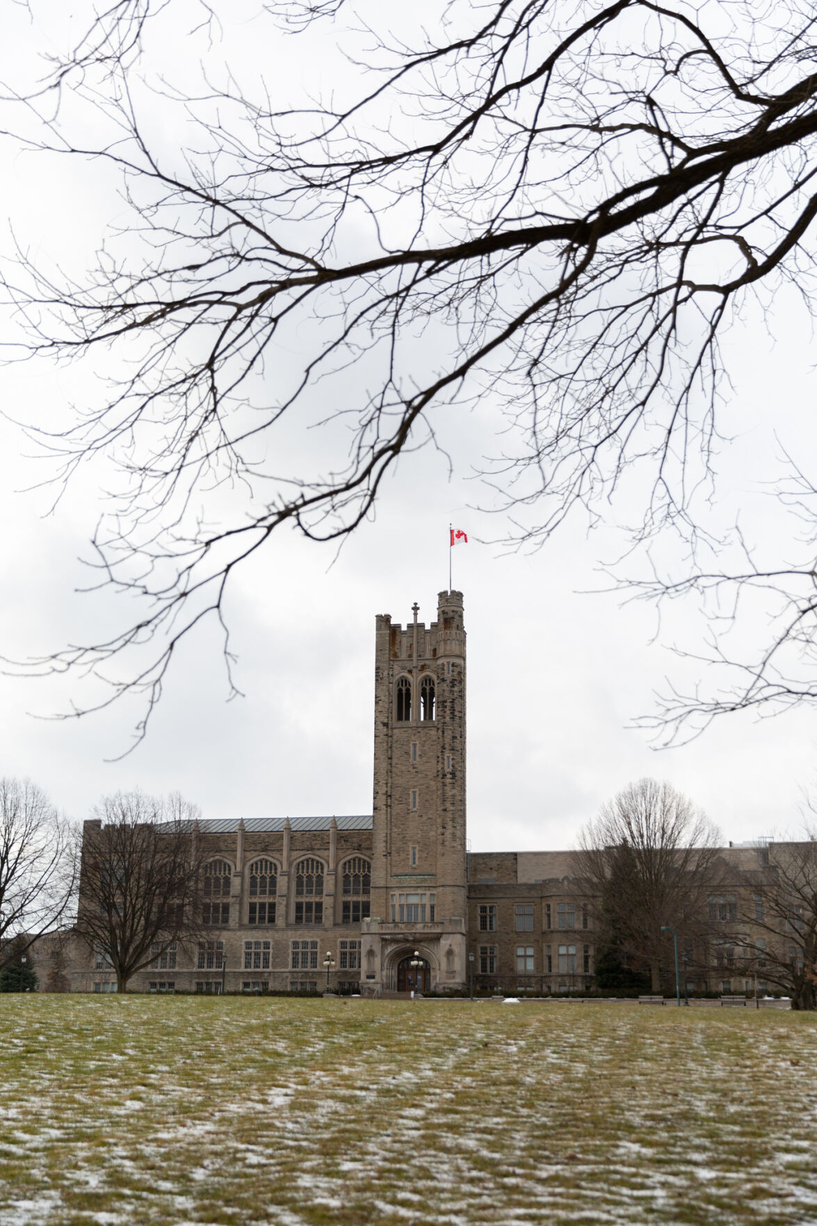 UC Hill Stock photo (4)
